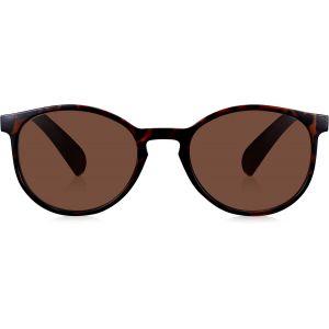 Lunettes De Lecture Avec Une Correction De +1 À +3,5 Lunettes Sans Ordonnance, Lunettes De Lecture Teintées - Neuf