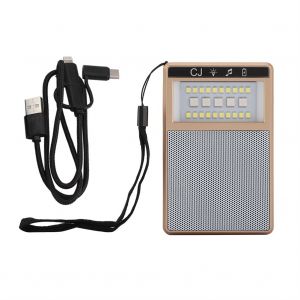 HJLIAN Enceinte Bluetooth portable USB LED, mini haut-parleur sans fil pour camping en plein air (dore) - Neuf