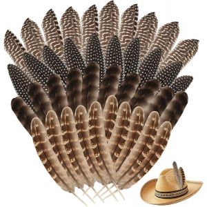 Lot De 40 Plumes De Dinde De 5,9 &Agrave; 7,87 Cm En Plumes Pour Bricolage Plumes De Faisan Pour L'artisanat,3 Styles M&eacute;lang&eacute;s Plumes De Bricolage Pour Carnaval,Costume,Masque, - Neuf