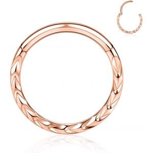 Kal-Boucles D'oreilles 16 G En Acier Inoxydable Pour Septum, Daith, Rook, Tragus, Hélix, Cartilage, Lobe Septum, Bijoux Serpent, Pyramide, Flèche, Étoile, Anneau Segmenté À Charnière - Neuf
