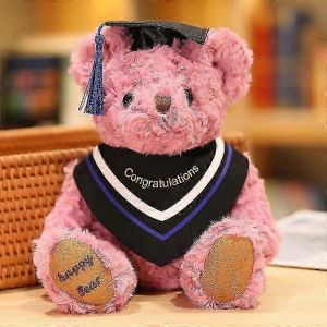Ours en peluche de remise de dipl&ocirc;me, super doux, 20 cm-Violet - Neuf