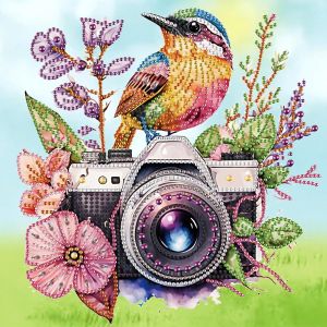 Ayuhr-Diamond Painting 30 X 30 Cm Oiseau Fleurs Colibri Caméra - Strass Special Peinture Diamant Art Broderie Point De Croix Images Cadeau - Neuf
