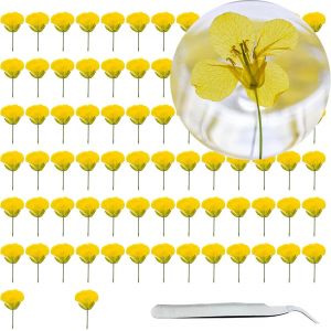 80 PCS Fleurs S&eacute;ch&eacute;es Naturelles pour Bricolage,Chou-Fleur Press&eacute; Jaune Fleurs Press&eacute; S&eacute;ch&eacute;es Naturelles Florales Naturelles Feuille de Fleurs Press&eacute;es pour Bricolage R&eacute;sine Bijoux Faisant - Neuf