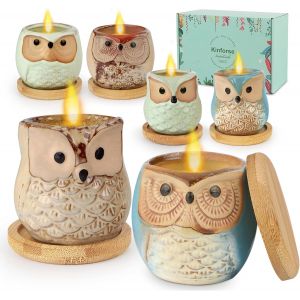 Lot de bougies parfumées à la citronnelle - Cadeau de jardin pour femme - Chouette - Bougies de soja naturelles pour décoration de jardin - Bougies d'aromathérapie en vrac - Neuf