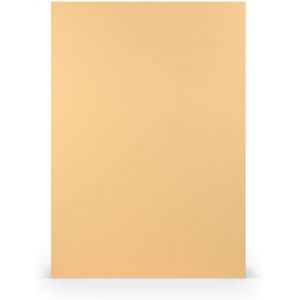 Lot De 25 Feuilles De Papier De Couleur Din A4 - Taupe Nervuré - Marron Clair - Gris Boue - 160 G/M² - 29,7 X 21 Cm - Pour Peinture, Bricolage Et Impression - Neuf