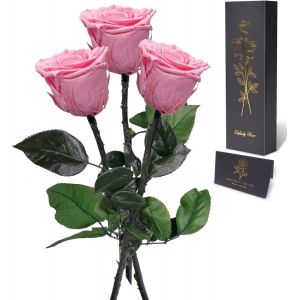 Rose Eternelle - Vraie Rose avec Tige en Coffret Cadeau pour Femme - Fleur Pr&eacute;serv&eacute;e pour Anniversaire, Noel, Saint-Valentin, Fete des Meres - 3 Roses - Neuf