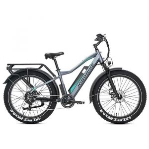 V&eacute;lo &Eacute;lectrique Jobobike Robin 48v Fatbike 26 &raquo; 14ah 250w Gris - Neuf