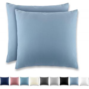 Tianyi-Taie Oreiller 80x80 Gris Bleu - Lot De 2 Taies D'oreillers 80 X 80 Carr&eacute; En Microfibre Bross&eacute;e, Housse Oreiller Coussin Oreiller Avec Fermeture &Eacute;clair - Neuf