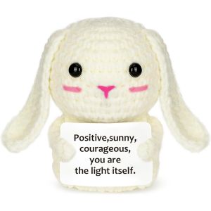 KAL-Pocket Hug Positive Lapin En Peluche Crocheté, Porte-Bonheur Avec Carte Positive, Câlin De Poche Pour Un Bon Rétablissement, Soutien Émotionnel - Neuf