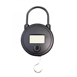 Peson &Eacute;lectronique 25 Kg Graduation En 10g - Neuf