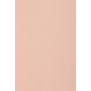 20x carton rose clair 250g papier décoratif A4 210x297mm Burano Rosa idéal pour cartes de voeux scrapbooking bricolage invitations art et artisanat anniversaire DIY loisirs créatifs - Neuf