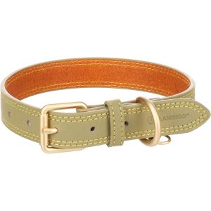 Eryi-- Collier Pour Chien Virginia - Ajustable Et Élégant - Idéal Pour Labrador, Border Collie, Beagle Et Cocker Spaniel - Taille M/L, 38-48 Cm X 25 Mm, Vert - Neuf