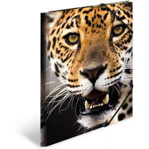 3 Pack A4 Leopard Print Folder For Kids With Inner Printing And Elastic Band,Pack Of 3 Sturdy Plastic Folders For Boys And Girls - Neuf