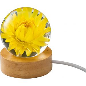 Kal-Veilleuse En Forme De Boule De Cristal En Forme De Fleur, 6,1 Cm En Résine Époxy Avec Base En Bois, Boule De Cristal Amovible, Lampe De Table Pour Chambre À Coucher, Décoration D'ambiance - Neuf