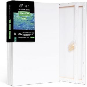 Tianyi-Toile Peinture 30x45, Lot De 6 Toiles À Peindre 100% Coton, 280gsm Canvas Painting 30x45, Toile À Peindre, Chassis Entoilé, Canvas 45x30 - Neuf