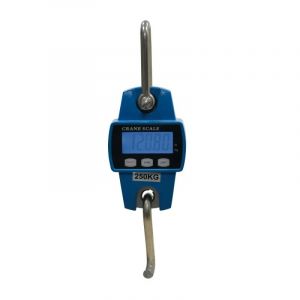 Peson &Eacute;lectronique 250 Kg Boitier M&eacute;tal Graduation En 50g - Neuf