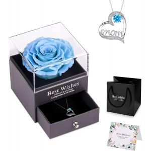 Rose Éternelle Bleu Idee Cadeau Noël Maman Femme Avec Collier Cadeau Fete Des Meres Rose Eternelle Sous Cloche Cadeau Cadeau Anniversaire Maman Original Cadeaux Pour Maman Grand-Mère - Neuf