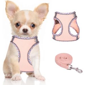 Kalanka-Harnais Pour Chiens De Petite Taille Et De Taille Moyenne, Harnais Et Laisse Pour Chiots, Harnais En Maille R&eacute;fl&eacute;chissante Et Respirante, Gilet Doux Et Rembourr&eacute; Pour Chiens - Neuf