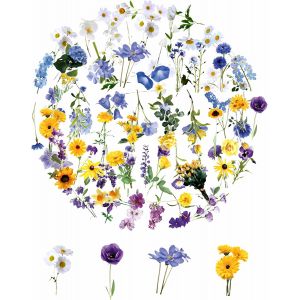Mevronisshop-160stickers Fleurs - Autocollant Fleur - Stickers Fleurs Autocollantconvient Pour Les Agendas, Cartes De V?Ux, D&eacute;coration De Cartes D'invitation, Travaux Manuels Et Cadeaux Pr&eacute;f&eacute;r&eacute;s - Neuf