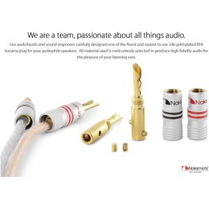 TIANYI-Excel Series BFA Fiche Banane plaquée Or 24K 12-18 AWG Calibre 4 mm pour Haut-parleurs Amplificateur Hi-FI Récepteur AV Stéréo Audio Connecteur (Fiches Banane BFA, 2 pièces (1 Paire)) - Neuf