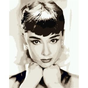 Peinture Numero Audrey Hepburn,Bricolage Peinture par Numero 40x50 cm Acrylique Decoration Murale (Femelle,avec cadre) - Neuf