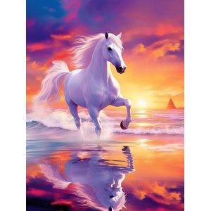 Oayew-5d Diamond Painting Diy Kits Mer De Cheval Blanc, Ciel Coucher De Soleil Broderie Diamant Kits De Broderie Au Point De Croix Strass Rond R&eacute;sine Peinture D&eacute;cor &Agrave; La Maison, (30x40 Cm) - Neuf
