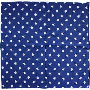 Square Cushion with Gooseberry Seeds 40 x 40 cm Compartments in 4 Starry Blue-Dry Hot Water Bottle - Neuf