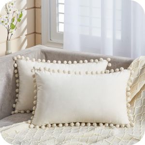 Jeu De 2 Housses De Coussin 30x50 Cm Blanc Creme, La Vie Moderne, Decoration De Salle Pour Lombaire Coussin Pour Fauteuil De Fauteuil De Bureau Cafe En Velours Doux - Neuf
