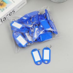 Lot De 50 Porte-Clés Bleus, 4,7 X 2 Cm, En Plastique, Avec Carte Inscriptible, Pour L'école Et La Maison-Générique - Neuf