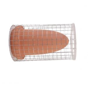 L'élevage De Poissons Cône De Ponte Baril Pour Aquarium Tropical-Anges-De Crevettes Moyennes De La Poterie De Filtration Avec Isolation Net - Neuf