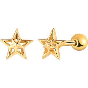 Kal-Hommes Boucles D'oreilles Étoile En Acier Inoxydable: Femmes Clous D'oreilles Etoile De Noël -Boucle D'oreille Cartilage Piercing -Bijoux Fantaisie Adolescent Décoration - Neuf
