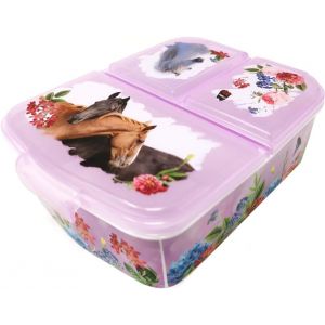 Mdy-Boîte Repas Pour Enfant - Boîte À Déjeuner Pour Enfant Avec Compartiments - Boite (Chevaux) - Neuf
