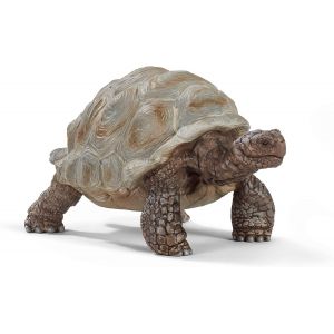 ERYI-14824 Wild Life Figurine De Tortue Terrestre Géante - Figurine D'Animal Sauvage - Cadeau Garçons Et Filles Jouet 3 Ans Et Plus - Neuf
