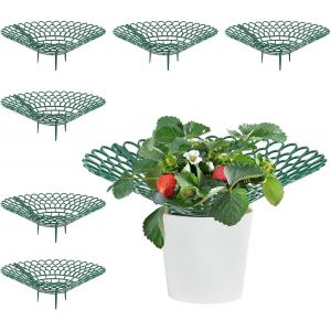 LETNERNY-Lot De 6 Supports De Culture Pour Fra s - Supports De Culture De Fruits - Support Circulaire Creux Pour Fra s - Neuf