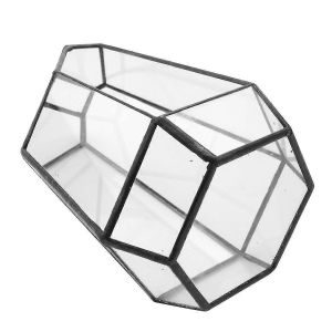 Maison Serre Vase Hexagonal En Verre Pour Frais Jardin Mini Mini Paysage - Neuf