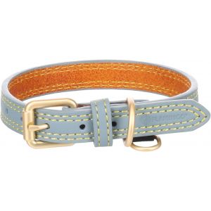 Eryi-Collier Pour Chien Virginia Bleu Clair Xs/S 24-30cm 15mm - Avec Un Anneau Pour Étiquette D'identification - Cousu Pour Une Plus Grande Résistance - Neuf