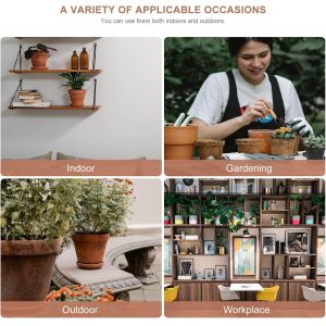 KALANKA-Lot de 5 soucoupes rondes en terre cuite pour pot de fleurs - Idéal pour l'intérieur et l'extérieur - Neuf