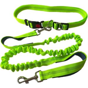 Teppc-Laisse Chien Mains Libres Vert, Ceinture Ajustable Et Laisse Élastique Rétractable À Double Poignée, Laisse Chien Jogging Avec Coutures Réfléchissantes (Poignée Gris) - Neuf