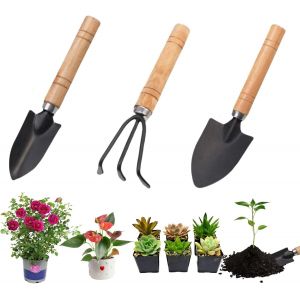 KALANKA-Lot de 3 Outils de Jardinage, Mini Outils de Jardin Kit du Petit Jardinier avec Poignée en Bois et Fer Enfant, Mini Outils de Jardinage à Main Pelle pour Bonsaï, Fleurs en Pot, Plantes - Neuf