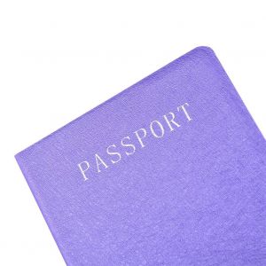 Etui de protection pour passeport en PU, joli porte-billets de voyage (violet) - Neuf