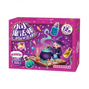 Petit Magicien, Experiences Scientifiques Pour Enfants, Kit De Materiaux Diy, Cadeaux D'anniversaire - Neuf