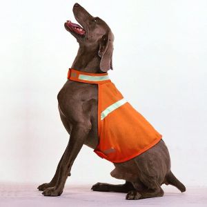 Réfléchissant Chien Gilet De Haute Visibilité Réglable Sangle De Sécurité Gilet De Garder Votre Chien Au Visible Et À L'abri Des Accidents De Voiture Et De La Chasse (1 Pack, Orange, M) - Neuf