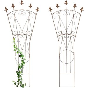 ASFASFq-Tuteur à Plantes, lot Pratique de 2, métal (Acier), Vintage, à Planter, H x L : 145 x 54 cm, Marron - Neuf