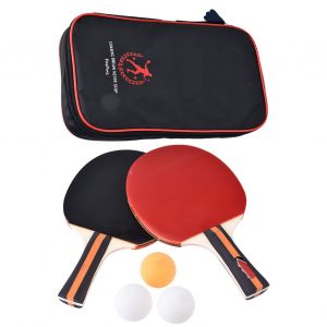 Ensemble De 2 Raquettes De Ping-Pong Portables Pour Entrainement Professionnel Avec Sac Et 3 Balles - Neuf