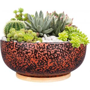 lbgwp60-Pot De Fleurs Juteux En Terre Cuite De 25,5Cm Avec Drain Et Plateau De Thé, Grand Pot De Fleurs Rondes Intérieur Noir - Neuf