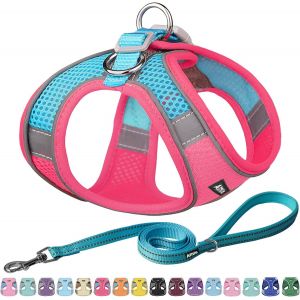 Ensemble Harnais Et Laisse Pour Chien Pour La Marche - Bandes R&eacute;fl&eacute;chissantes, R&eacute;glables, Anti-Traction, Essentiels Pour Chiots, Pour Petits Chiens Et Chats Domestiques Rose Vif Xs - Neuf