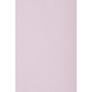 10x carton lila 250g papier décoratif SRA3 320x450mm Burano Lilla idéal pour cartes de voeux scrapbooking bricolage invitations art et artisanat anniversaire DIY loisirs créatifs - Neuf