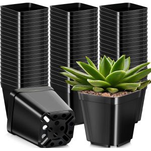 ERYI-50 Pièces Pots De Plantes Carrés, 10Cm Pots De Fleurs En Plastique Épais Jardinière Succulente Pots De Pépinière Avec Trous De Drainage Pour Petites Plantes En Pot (Noir) - Neuf