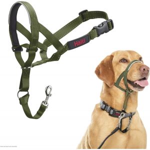 Eryi-Licol Halti - Pour Que Votre Chien Arrête De Tirer Sur Sa Laisse, Partie Entièrement Matelassée Sur Le Museau, Colliers Anti-Traction Pour Chiens De Taille Moyenne (Taille 3, Vert Forêt) - Neuf