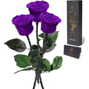 Rose Eternelle Cadeau Femme,Vraie Rose avec Tige Cadeau Maman Noel Fleur Pr&eacute;serv&eacute;e en Coffret Cadeau Anniversaire Femme Cadeau Fleur Eternelle Noel Cadeau Saint-Valentin Fete des Meres,3 Roses - Neuf